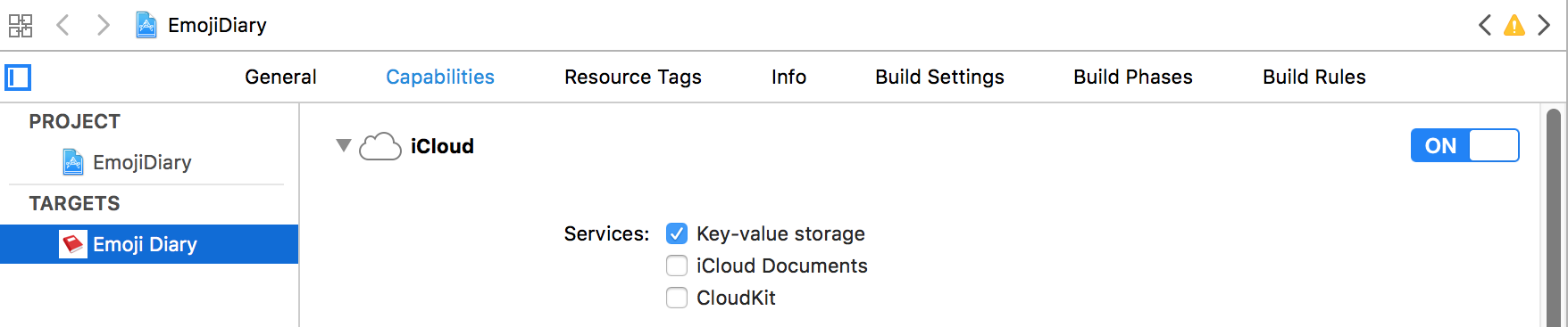 Screenshot of project settings in Xcode
